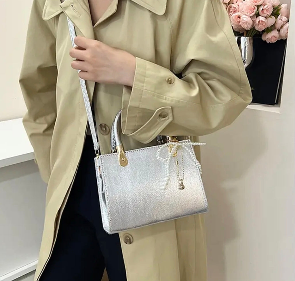 CARTERA PLATA